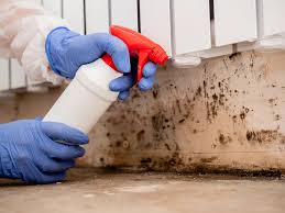 Best Comprehensive Air Testing for Mold Contaminants  in St Pauls, NC